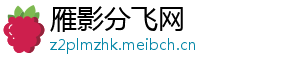 雁影分飞网
